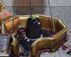 Shiva Linga is worshiped as male power in the morn Shiva Linga is worshiped as male power in the morning hours while it is dressed as gopi with special shringar in the evening hours which is the time o
